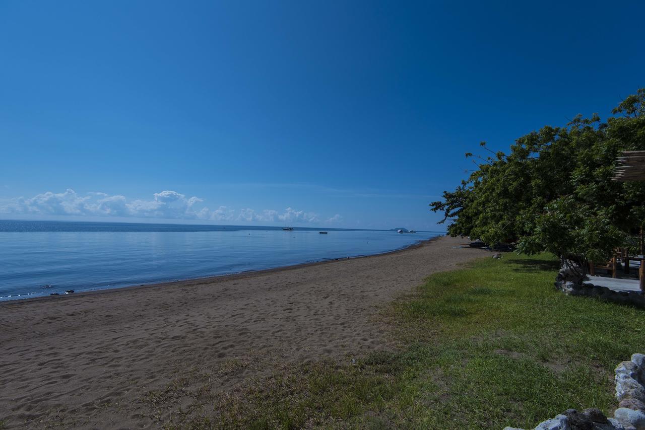 Liquid Dive Resort Dauin Ngoại thất bức ảnh