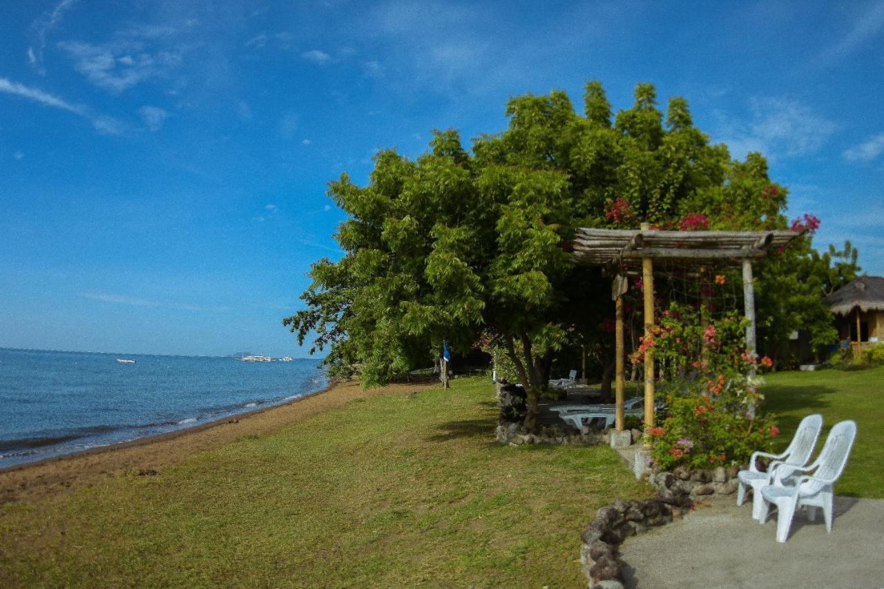 Liquid Dive Resort Dauin Ngoại thất bức ảnh